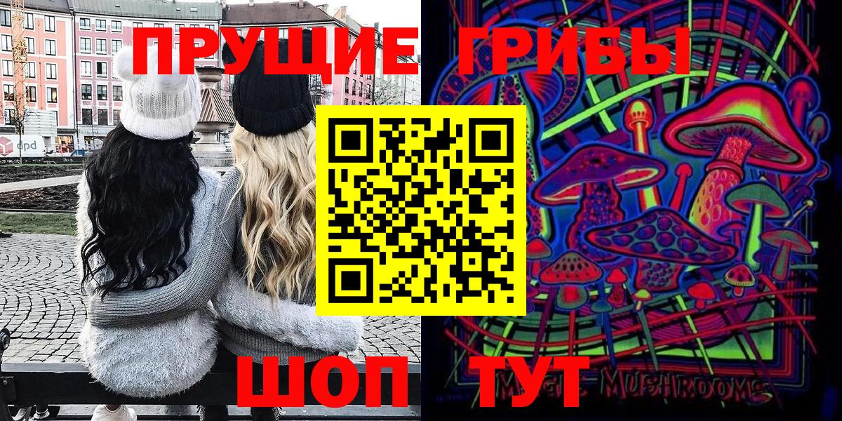 Псилоцибиновые грибы мицелий Мурино