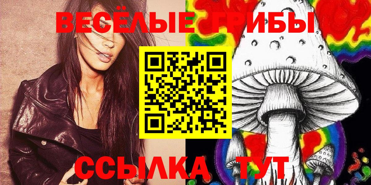 А ПВП Мурино